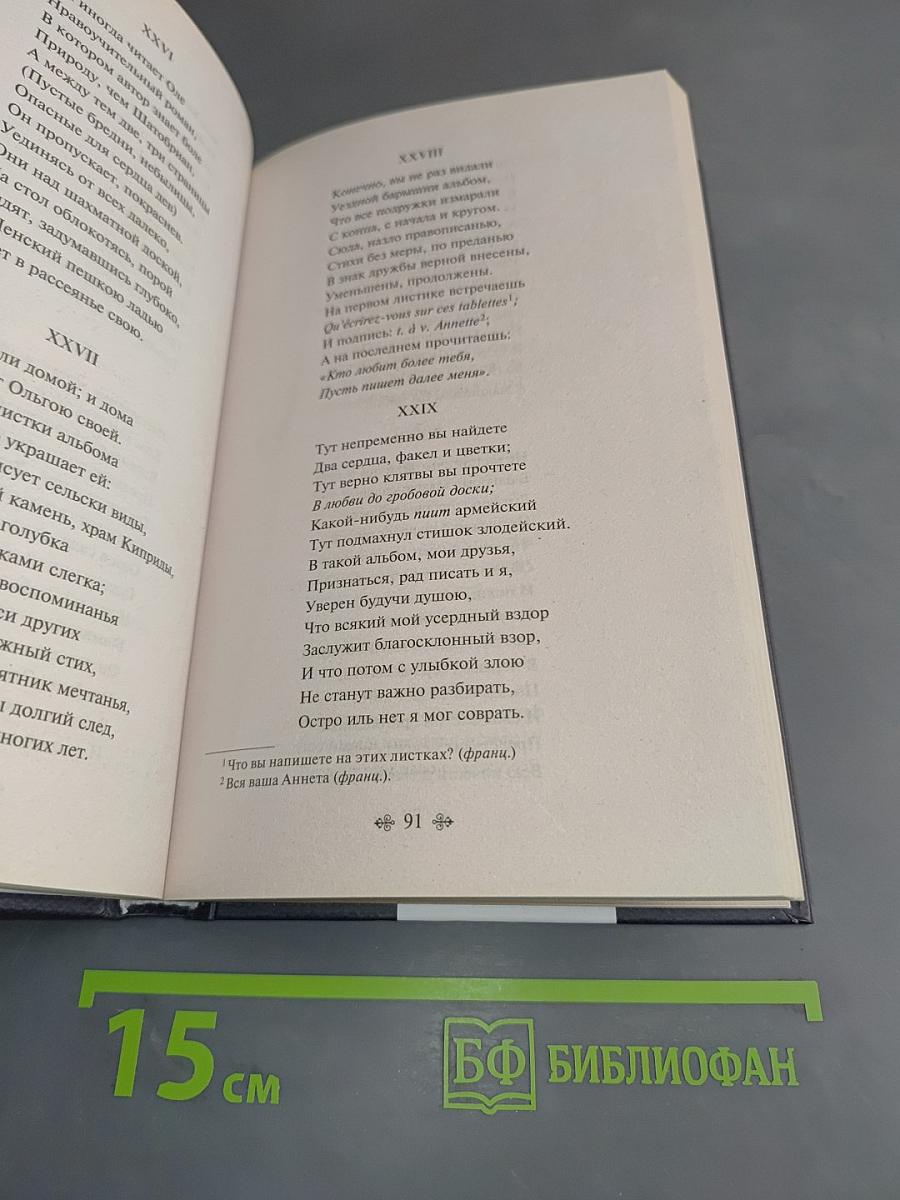 Евгений Онегин