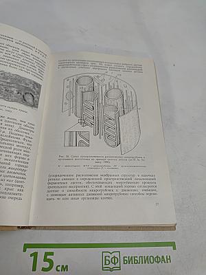 Введение в цитологию