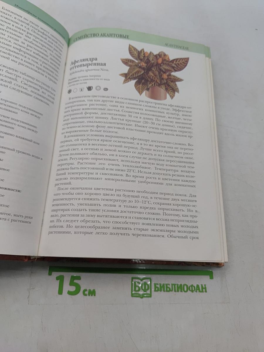 Комнатные растения
