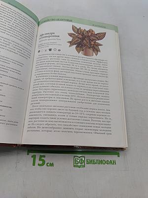 Комнатные растения