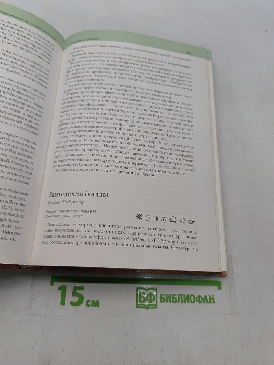 Комнатные растения