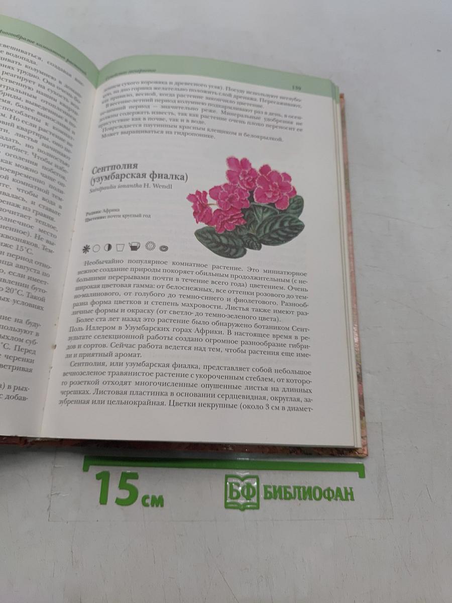 Комнатные растения