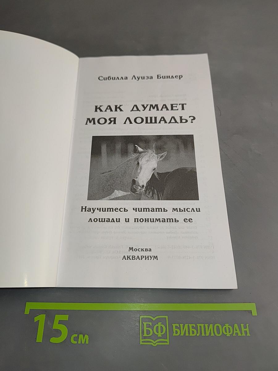 Как думает моя лошадь?