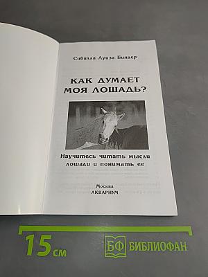 Как думает моя лошадь?