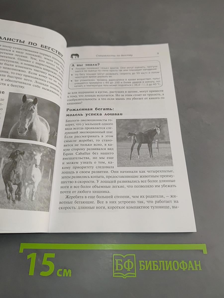Как думает моя лошадь?
