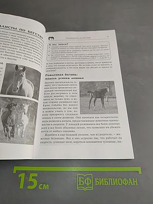 Как думает моя лошадь?