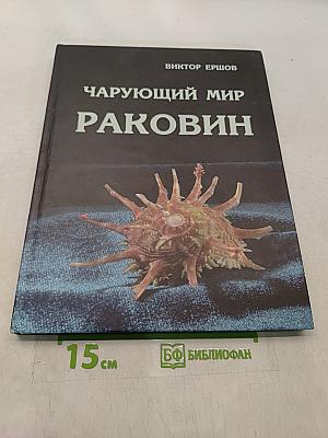 Чарующий мир раковин