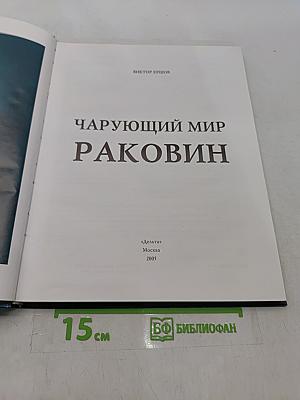 Чарующий мир раковин