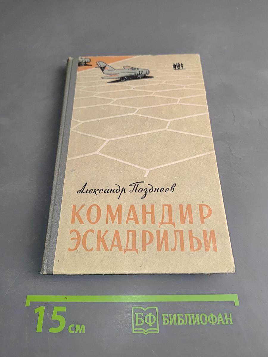 Командир эскадрильи
