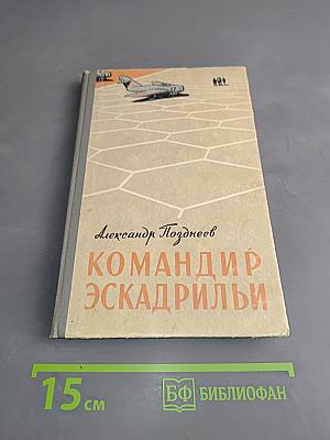 Командир эскадрильи