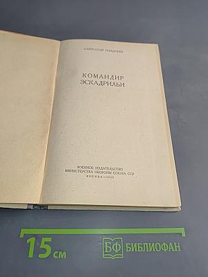 Командир эскадрильи