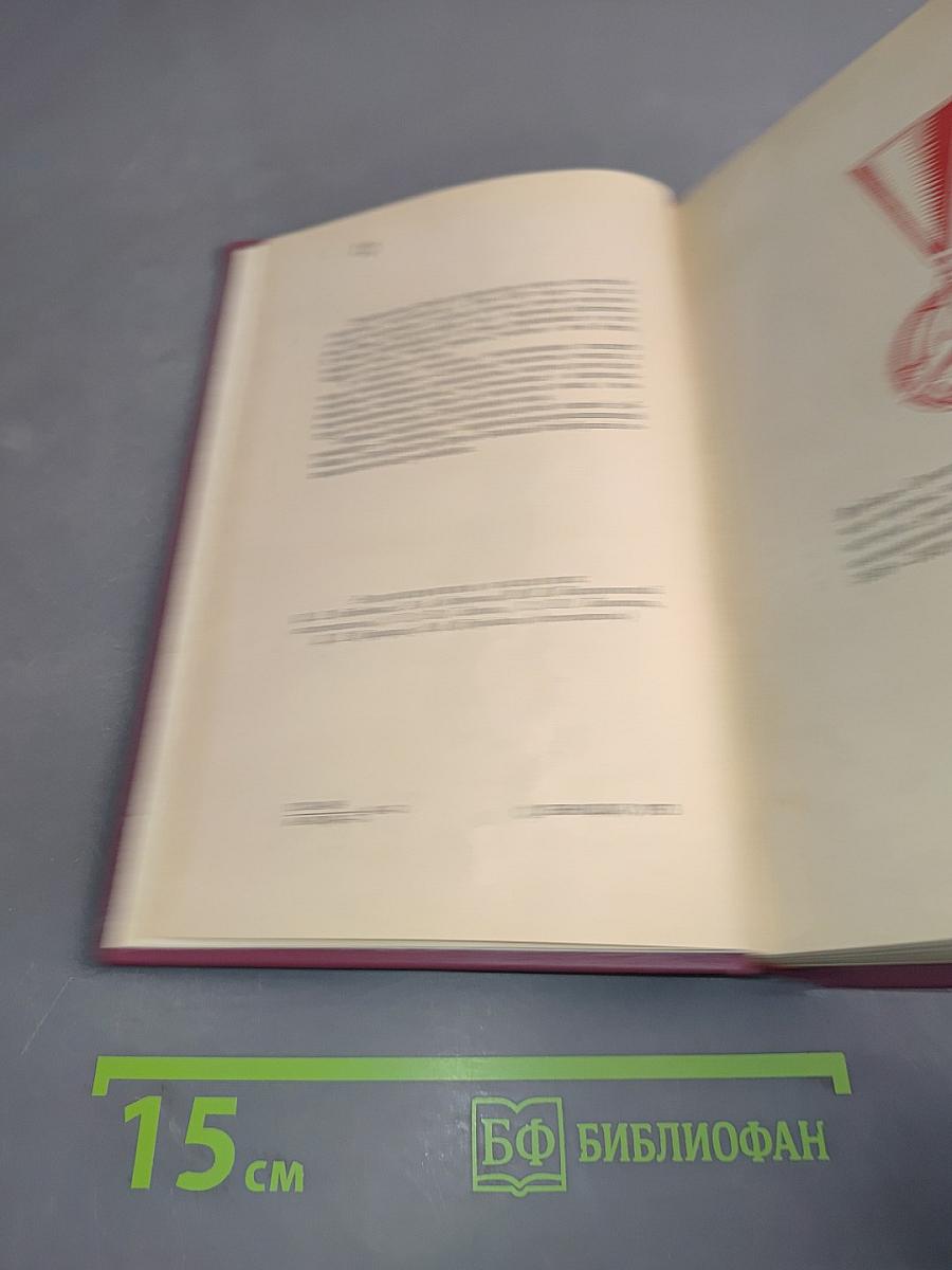 Ленинградцы в Испании