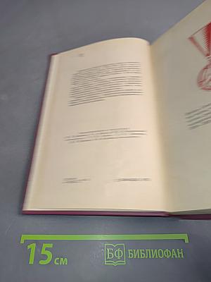 Ленинградцы в Испании