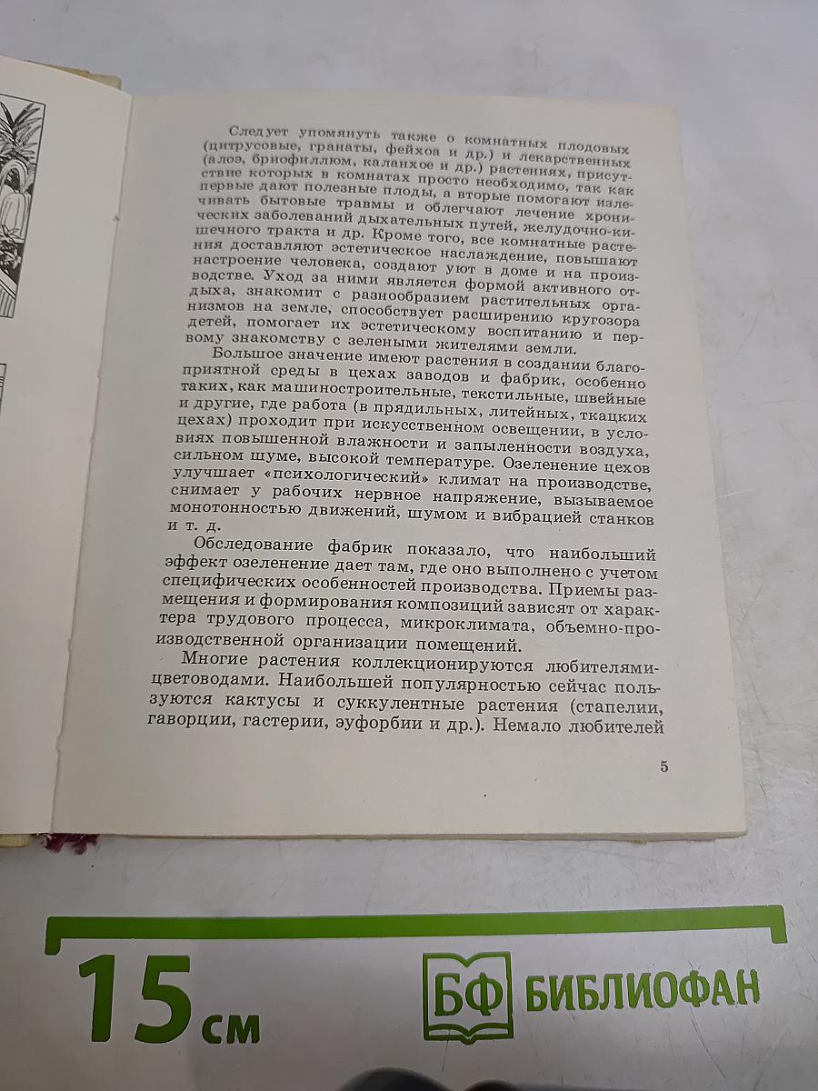 Цветы в комнате