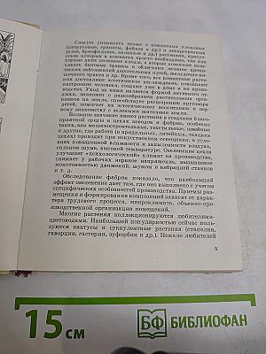Цветы в комнате
