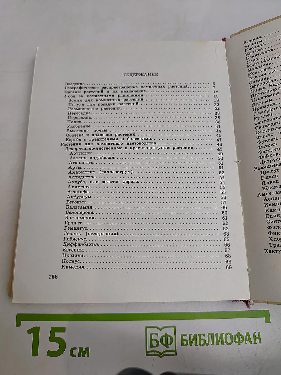 Цветы в комнате