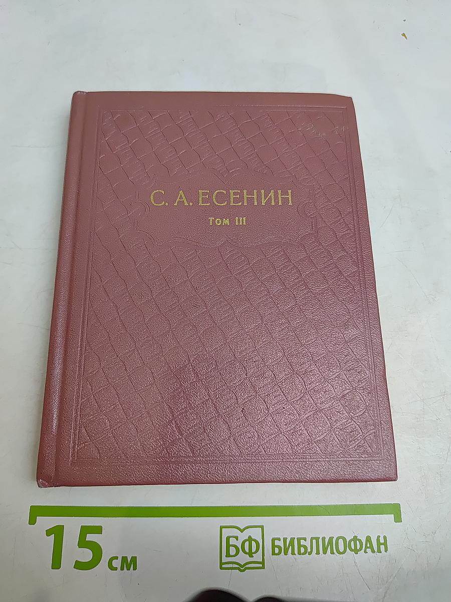 Собрание сочинений. Том III. Поэмы (1921-1925)