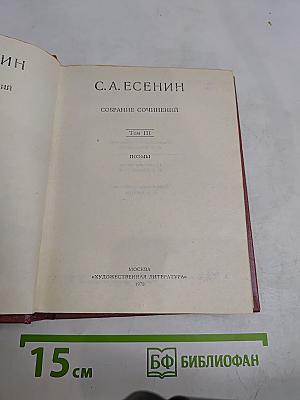 Собрание сочинений. Том III. Поэмы (1921-1925)