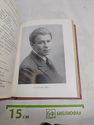 Собрание сочинений. Том III. Поэмы (1921-1925)