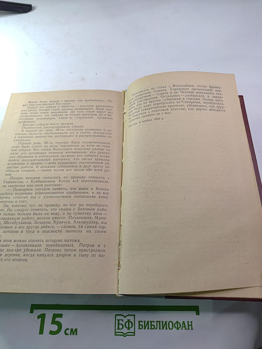 Чапаев. Красный Десант. Мятеж