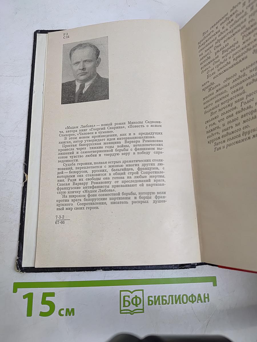 Мадам Любовь
