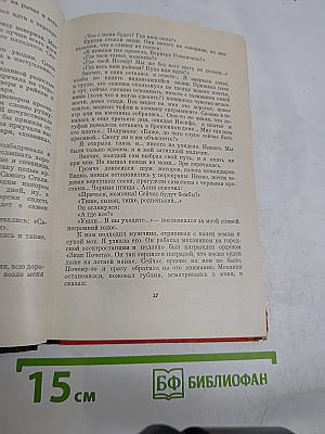 Мадам Любовь