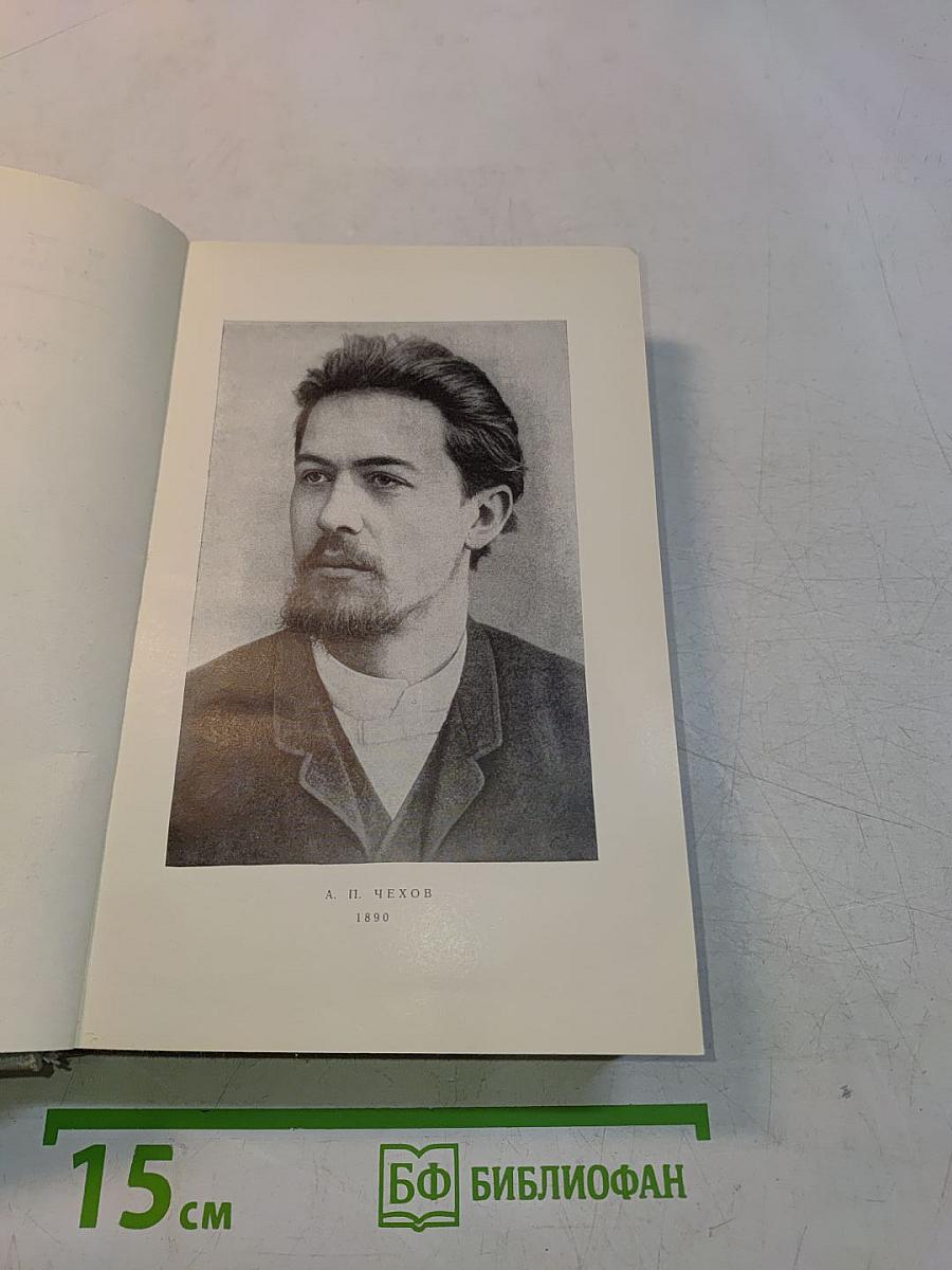 Собрание сочинений. Том одиннадцатый. Письма 1877-1892