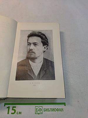Собрание сочинений. Том одиннадцатый. Письма 1877-1892
