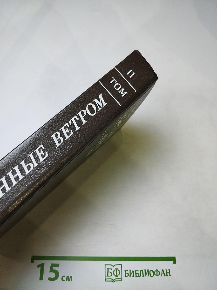 Унесенные ветром. Том II