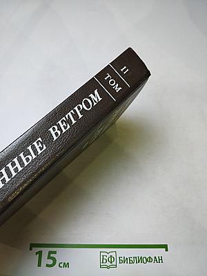 Унесенные ветром. Том II