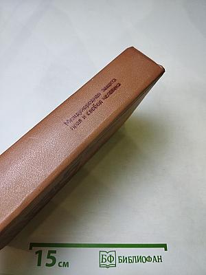 Международная защита прав и свобод человека. Сборник документов