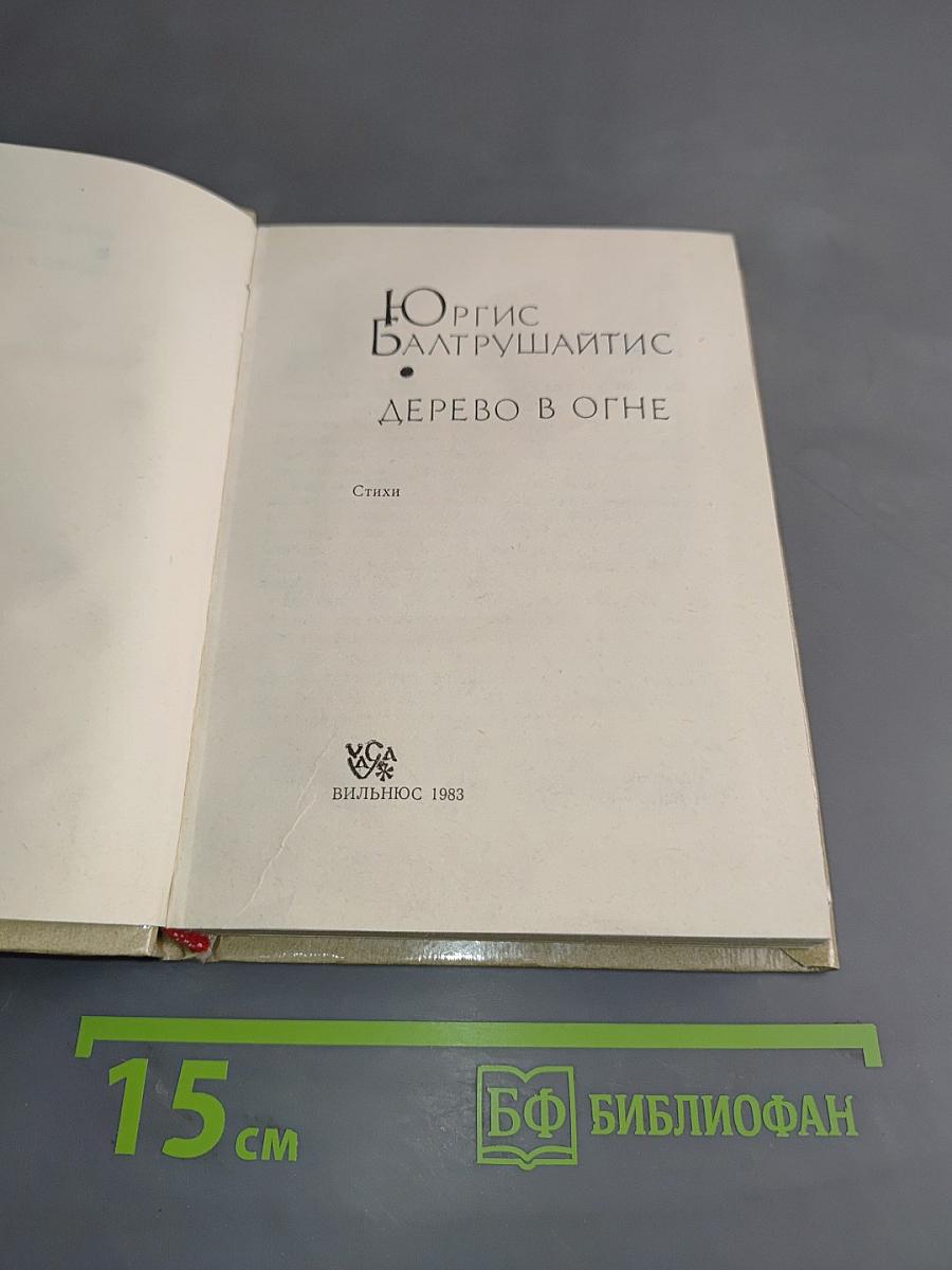 Дерево в огне