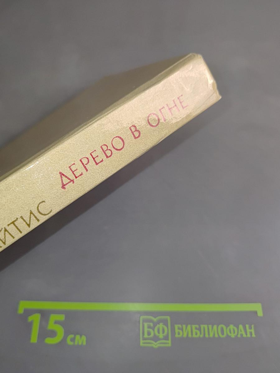 Дерево в огне