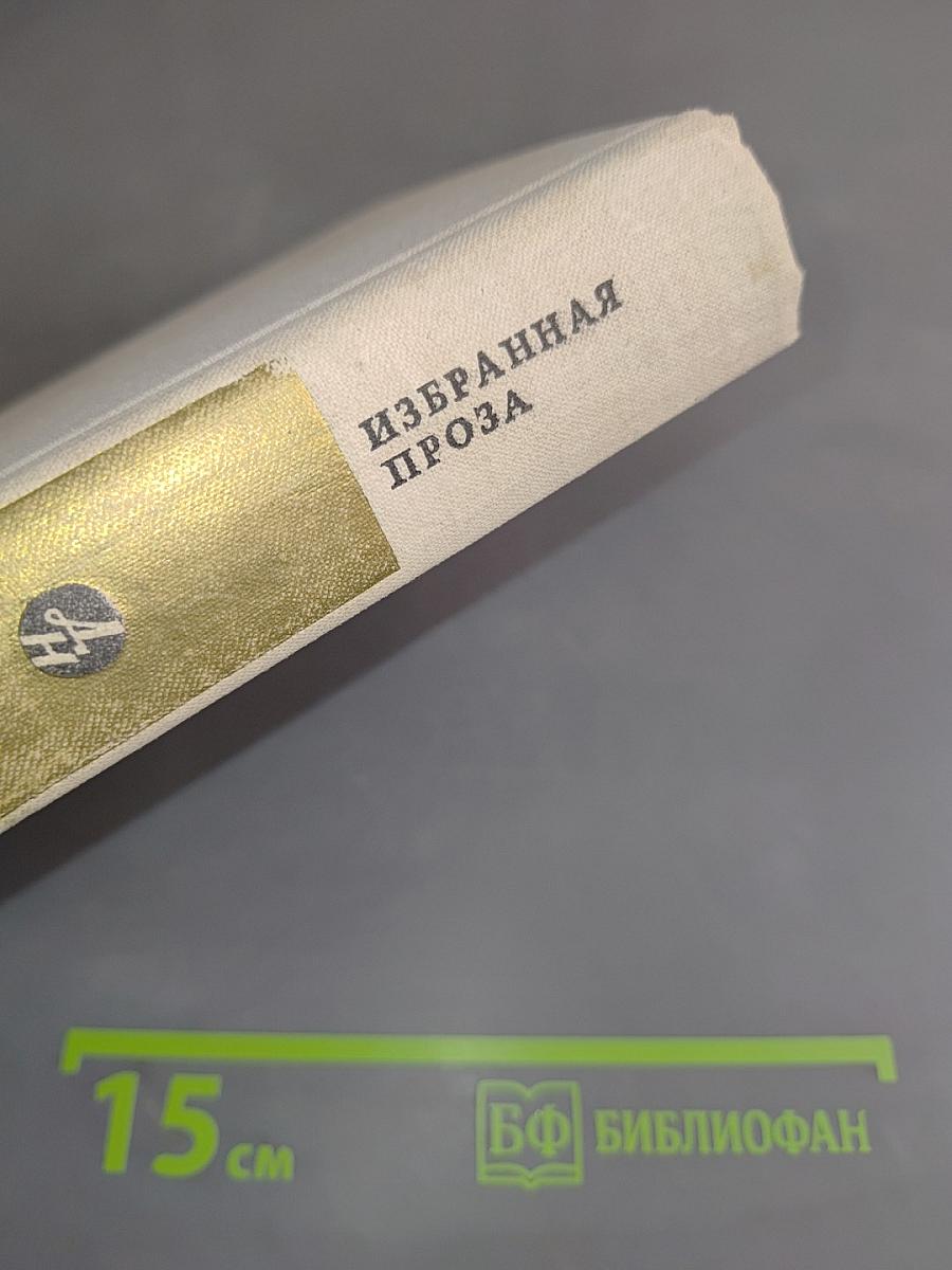 Избранная проза