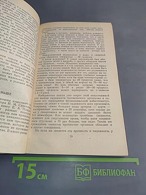 Мы и наши дети