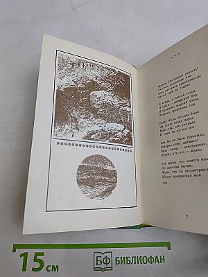 Соловецкая чайка: Книга лирики