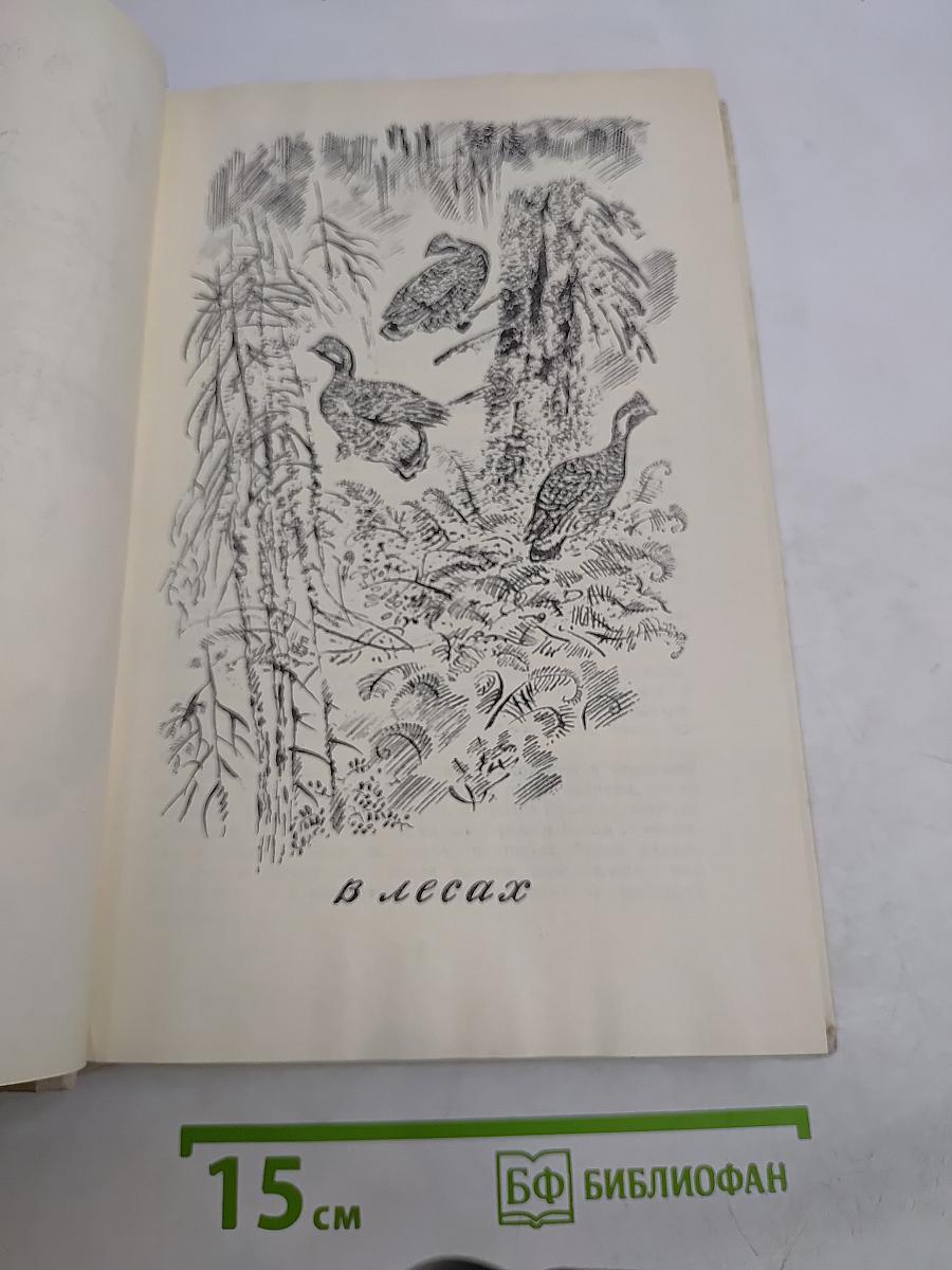 Капли солнца