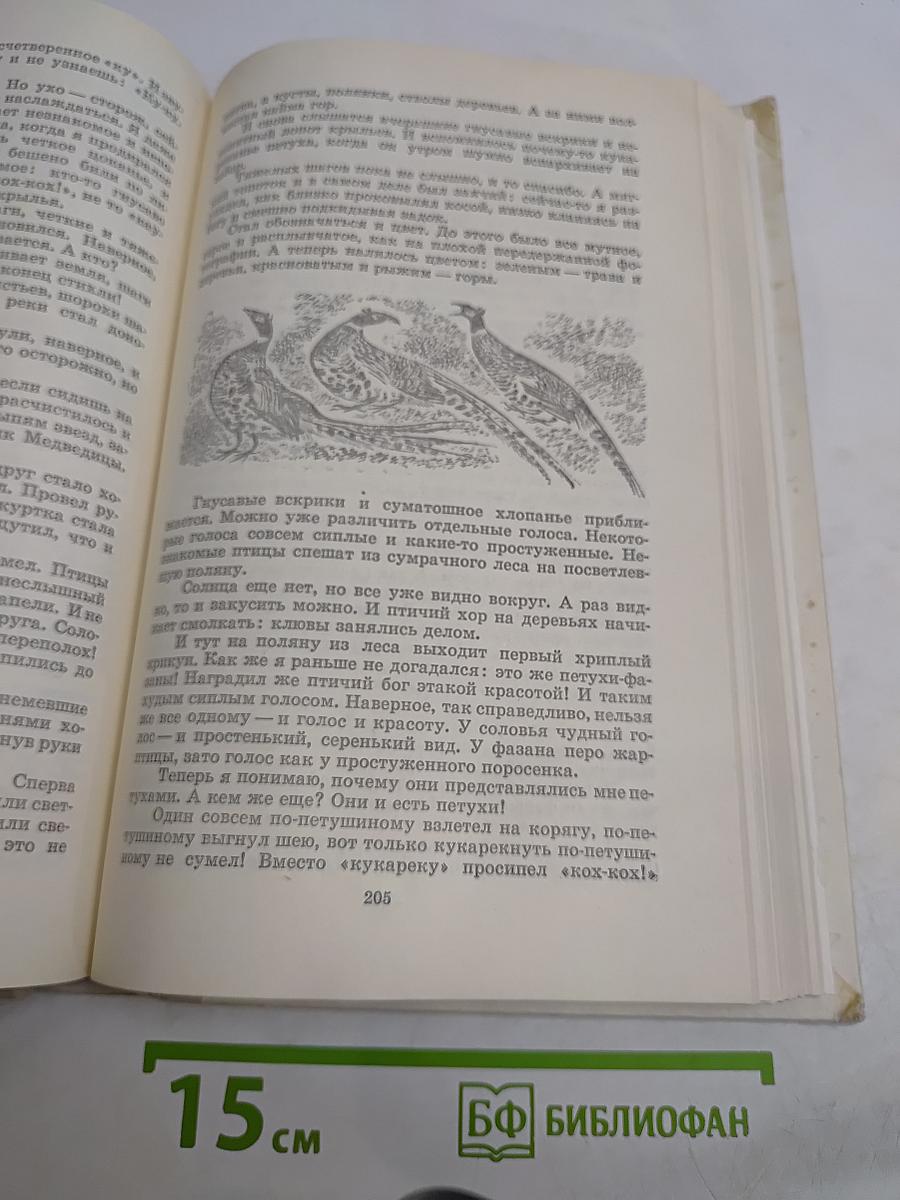 Капли солнца