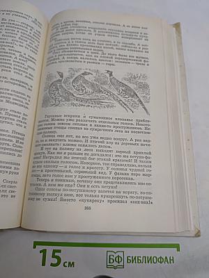Капли солнца