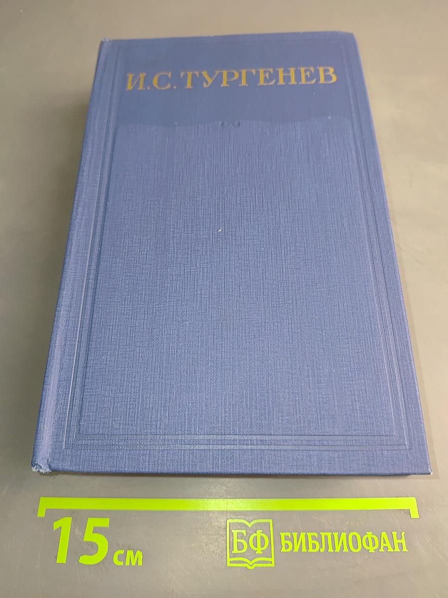 Повести и рассказы. Стихотворения в прозе. Произведения разных годов. Том тринадцатый