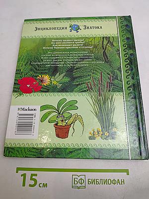 Зелёная планета
