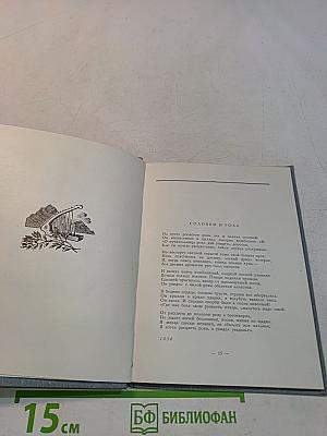 Стихотворения. Поэма