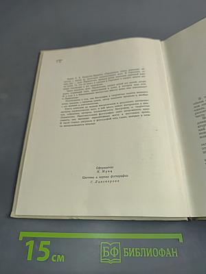 Тарханская пора