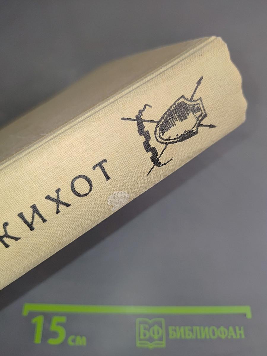 Хитроумный идальго Дон Кихот Ламанчский. Том первый