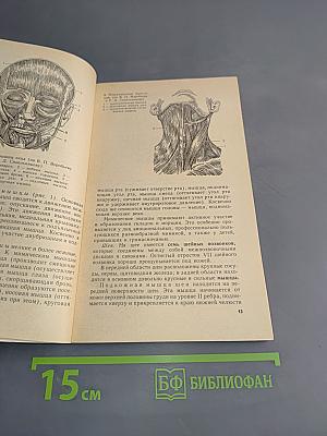 Практическое пособие для медицинских сестер косметичек-массажисток