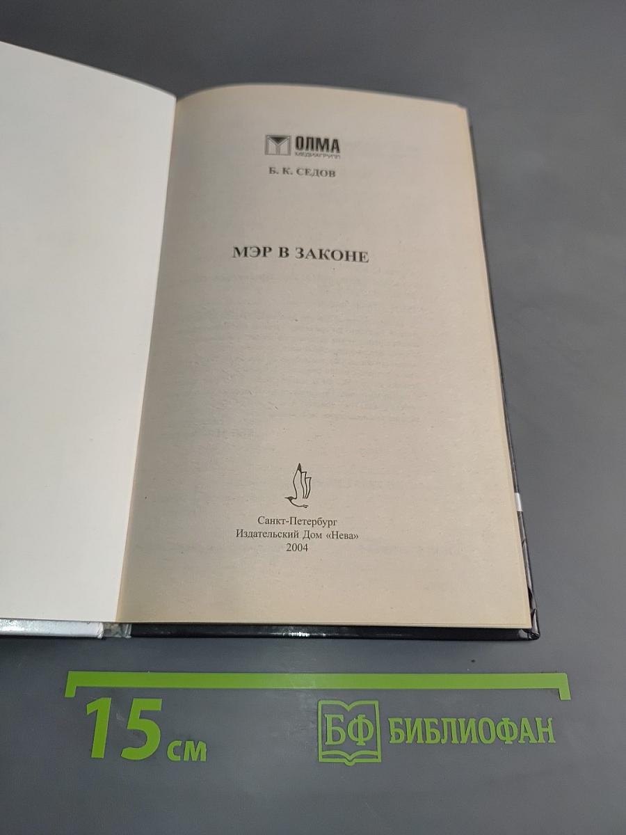 Мэр в законе