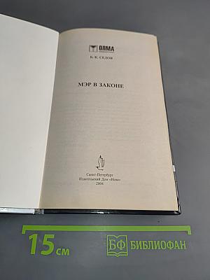 Мэр в законе