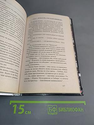 Мэр в законе