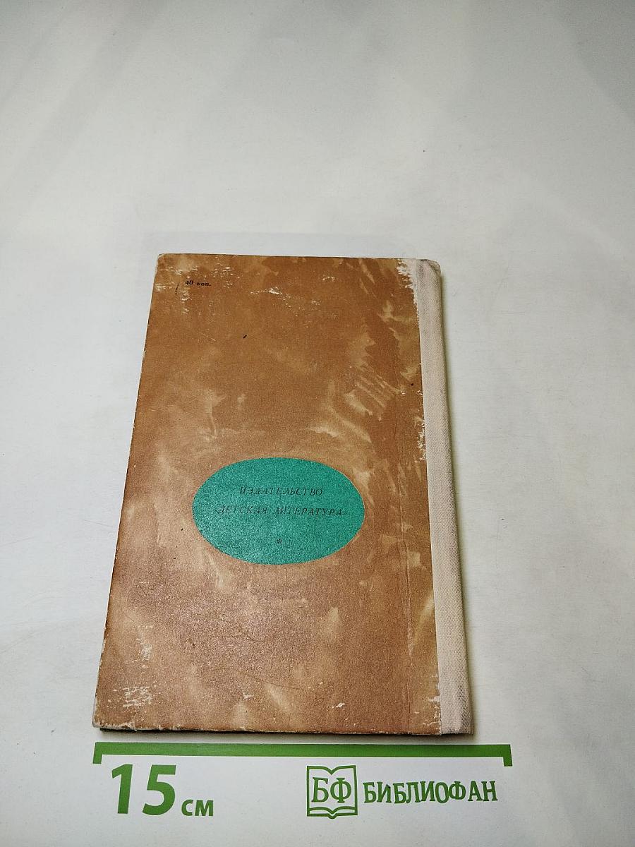 Дорожная дума