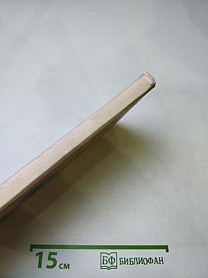 Дорожная дума